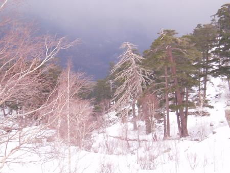 vivement le froid!!!!